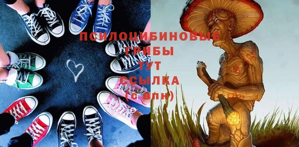 ECSTASY Белокуриха