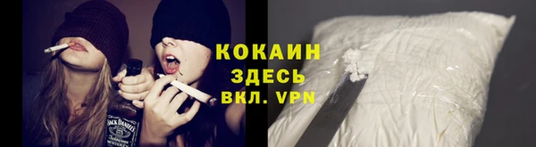 ECSTASY Белокуриха
