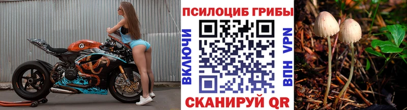 Псилоцибиновые грибы мухоморы Жирновск