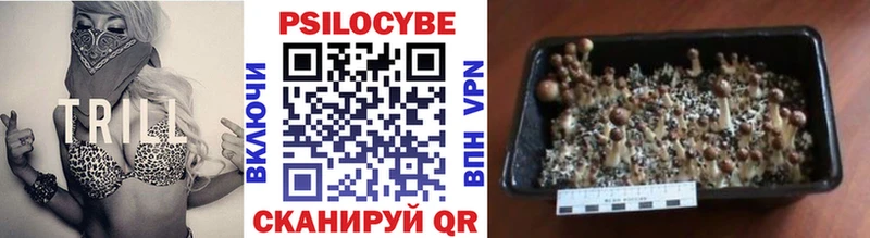 Псилоцибиновые грибы Psilocybine cubensis  Купить закладки  Жирновск 