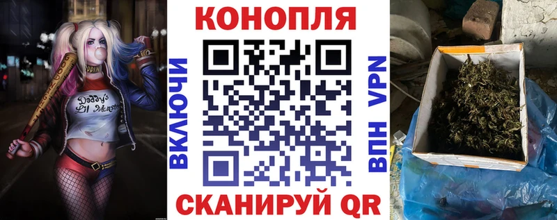 Купить где  Жирновск  Канабис план 